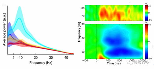 思影數據處理服務六 腦磁圖（MEG）數據處理的專業解決方案